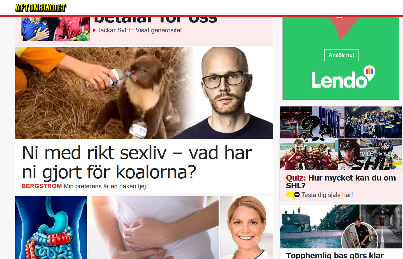 rolig koala 